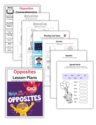 Opposites Book + Lesson Plan Bundle