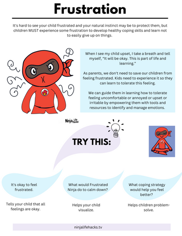 Angry Ninja Book Summary, Discussion Questions, & Worksheet