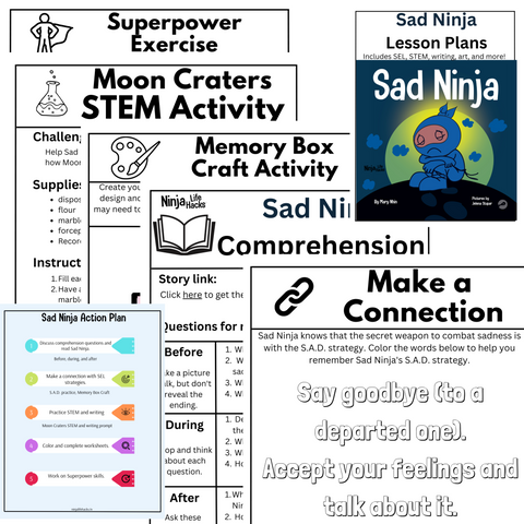 Sad Ninja Lesson Plans