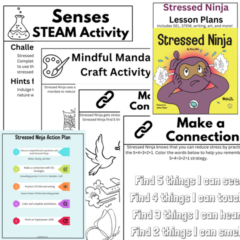 Stressed Ninja Lesson Plans